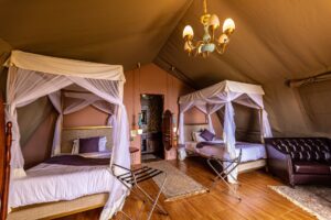 Ikoma wild camp