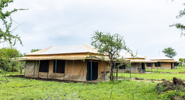 Serengeti Safari Lodge