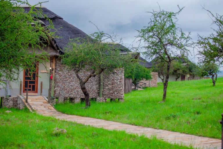 Top Safari Camps & Lodges in Tanzania 2025