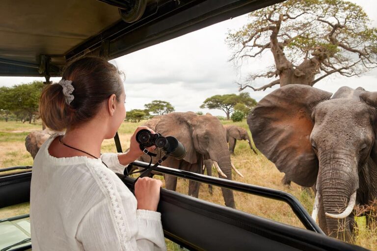Women's Only Safaris in Tanzania