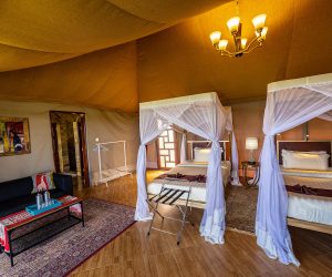 Serengeti Safari Lodge10