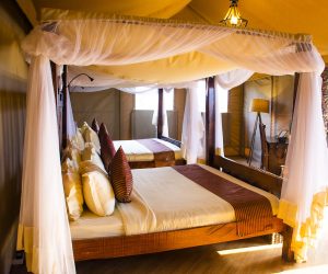 Serengeti Safari Lodge17